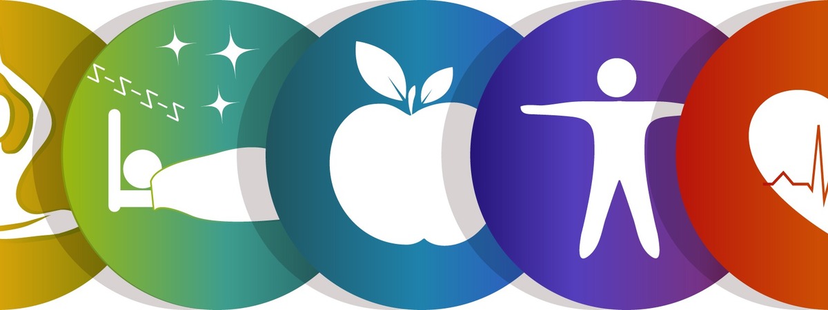 The Six Pillars of Health & Fitness (Part 1) The Six Pillars of Health & Fitness (Part 1)